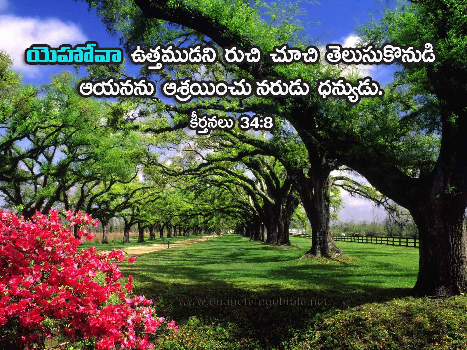 Psalms 34:8