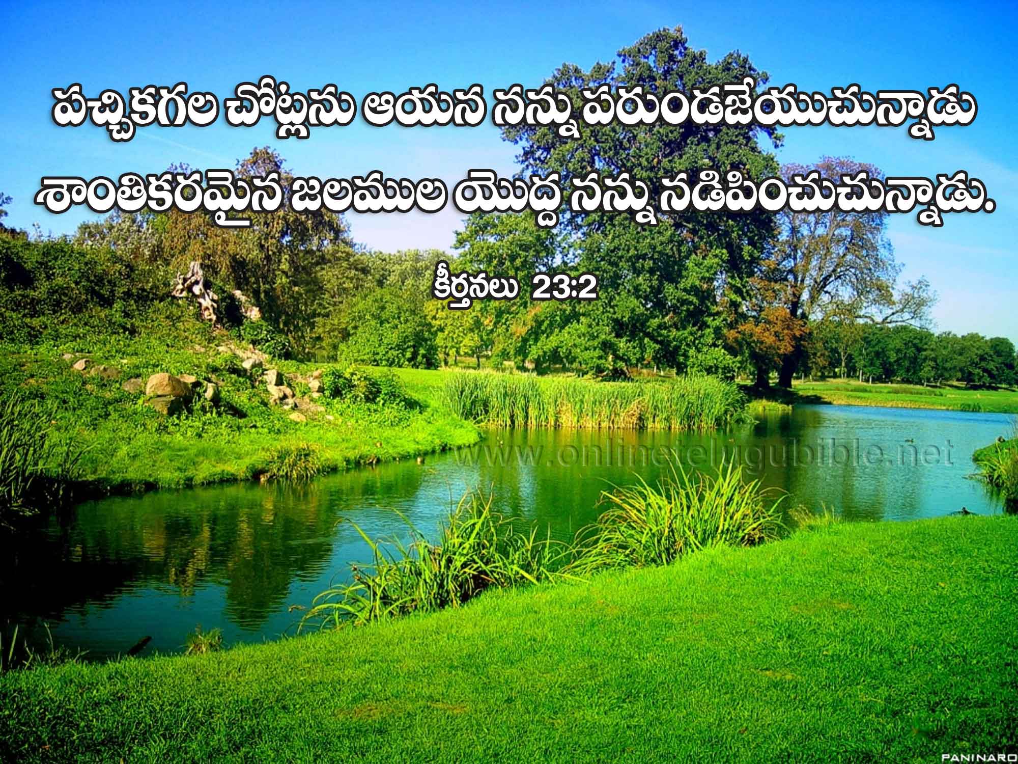 Psalms 23:2