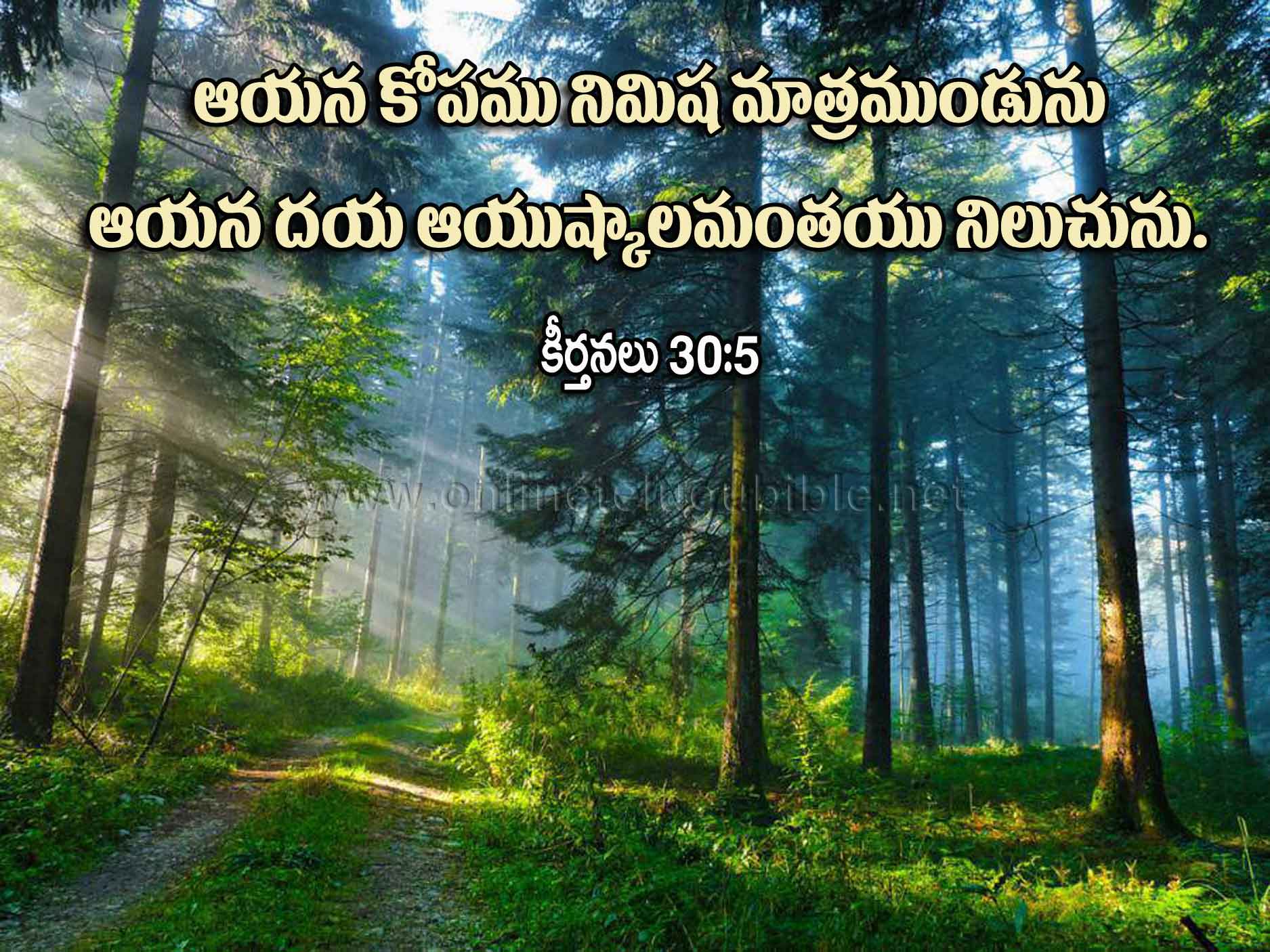 Psalms 30:5