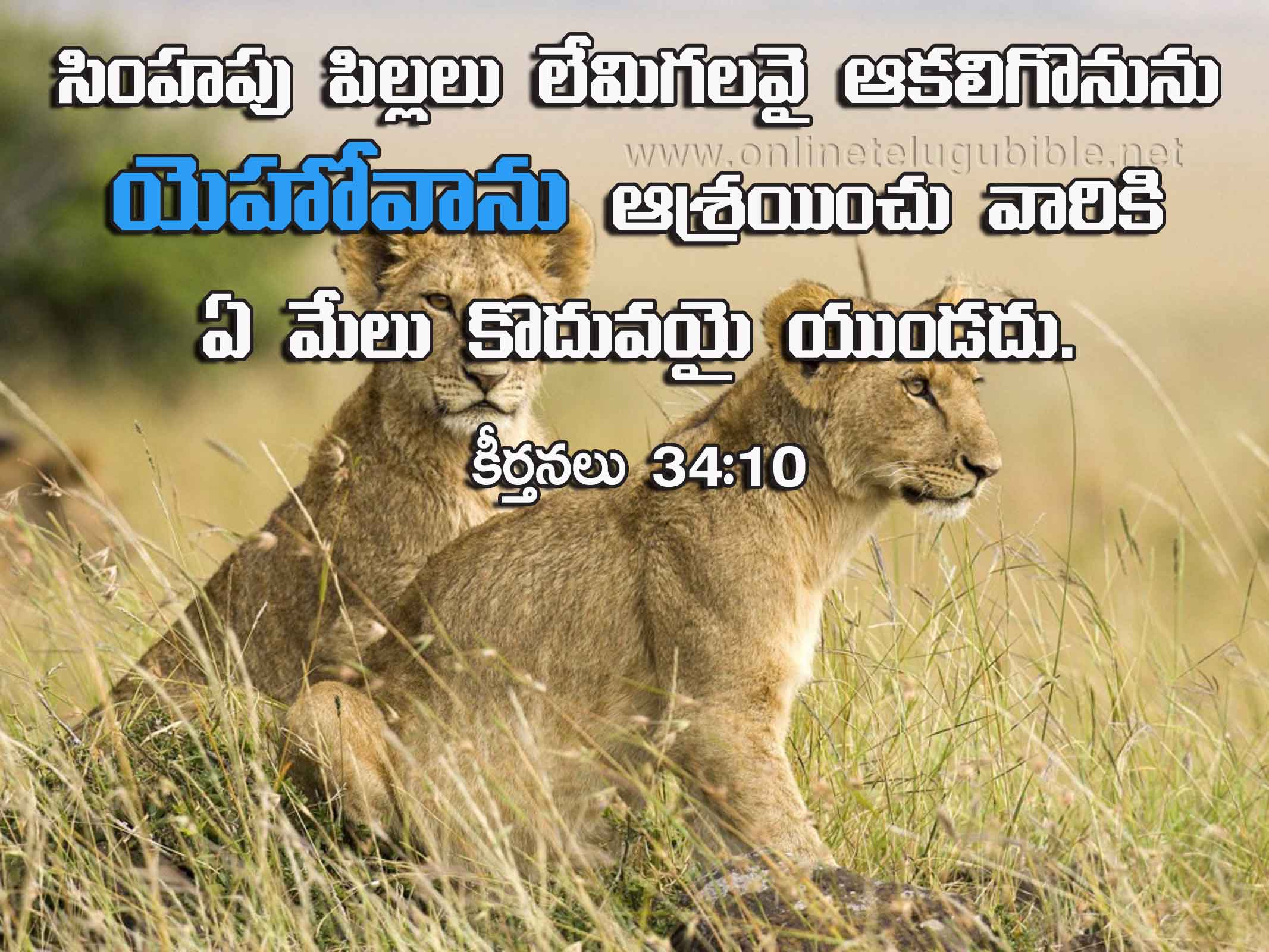 Psalms 34:10
