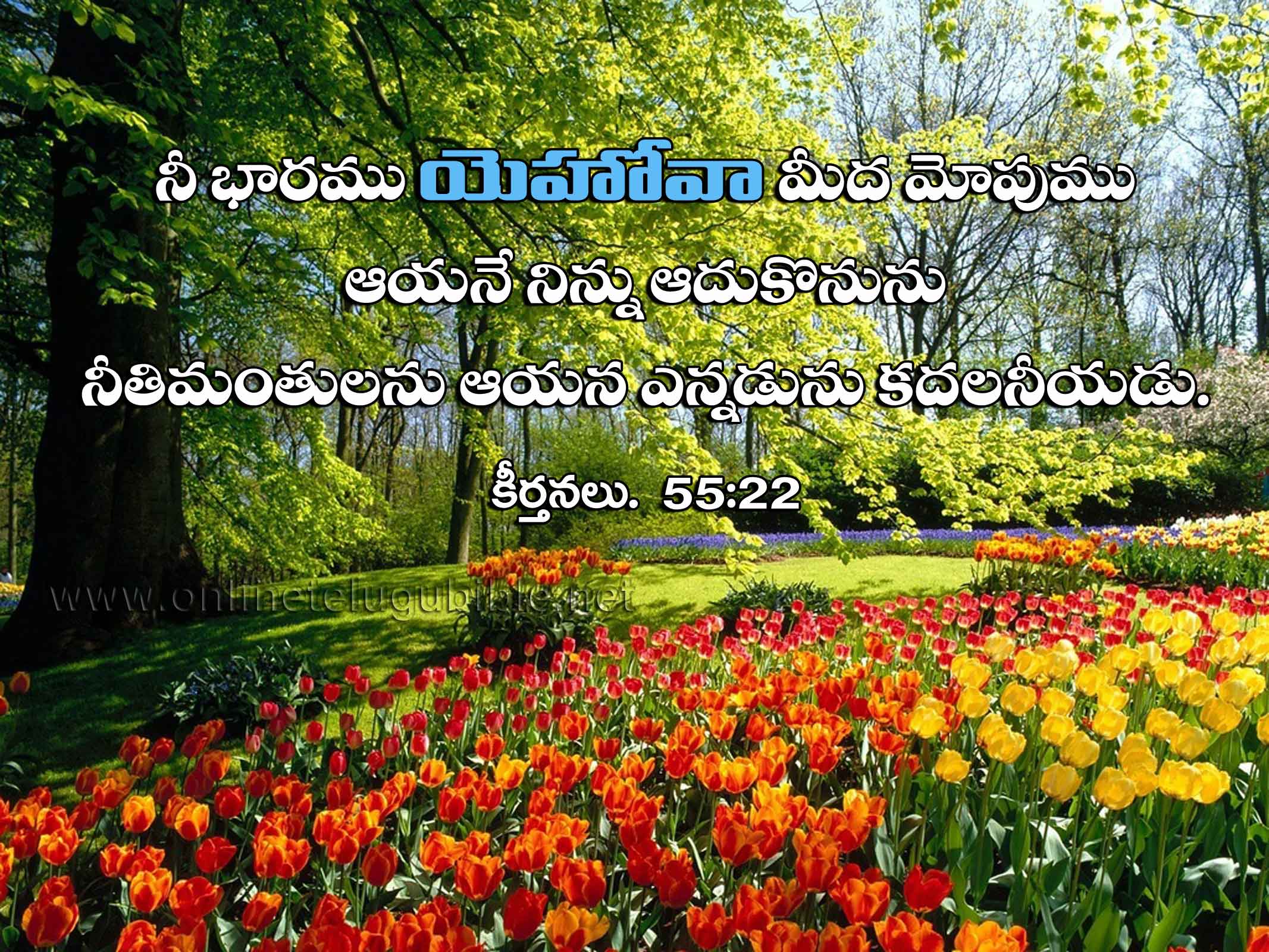 Psalms 55:22