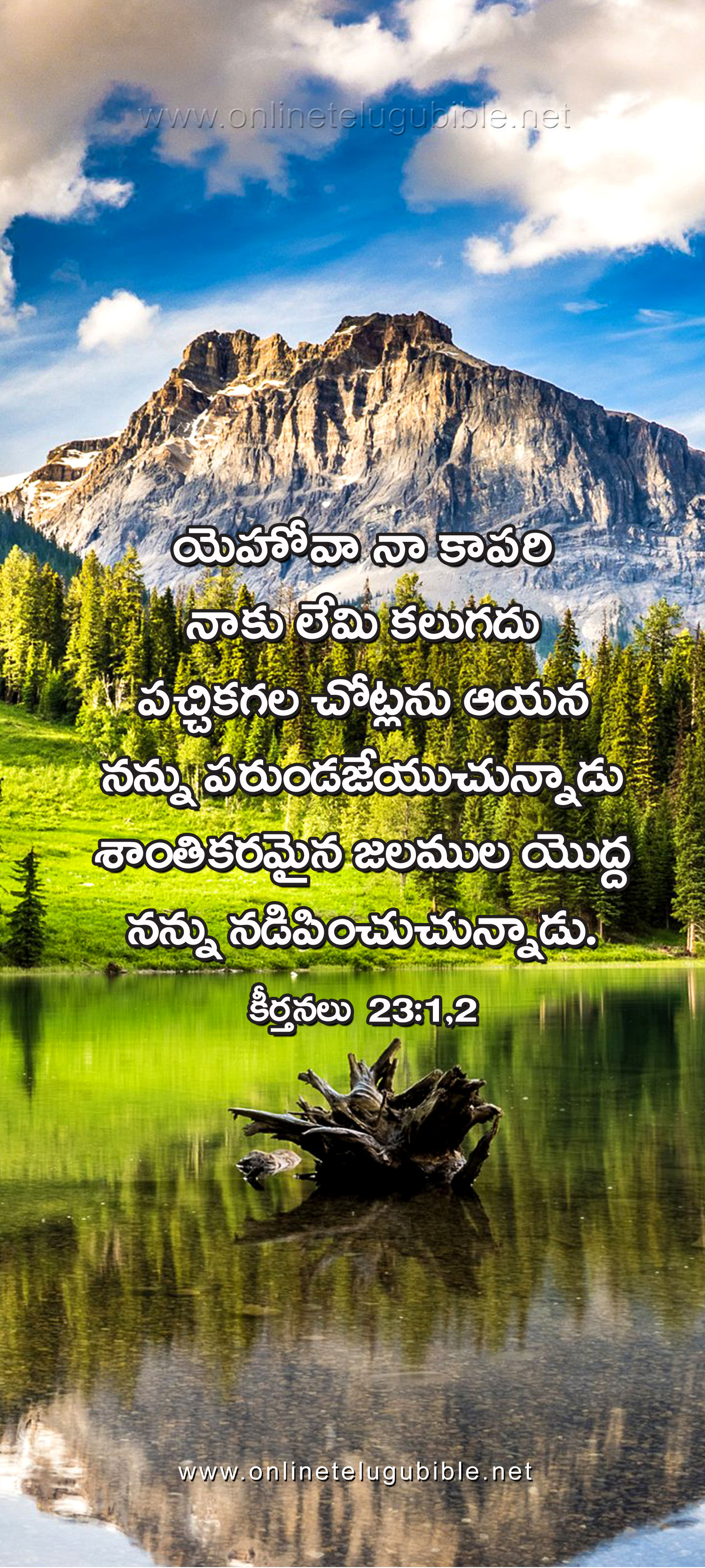 Bible Literature Ministry Mobile Wallpapers